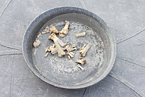 The bones are in a plastic plate. Is the food that dogs like to gnaw.