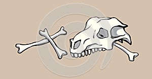 Bones and skull of a horse. Vector drawing