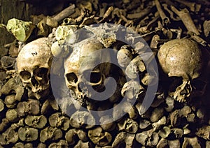 Bones and skulls in the Catacombs of Paris