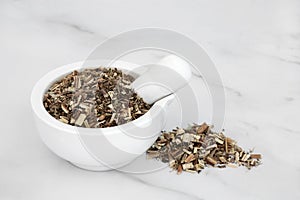 Boneset Herb used in Herbal Medicine