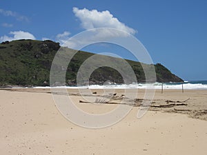 Bonete beach in Ilhabela, SP, Brazil. photo