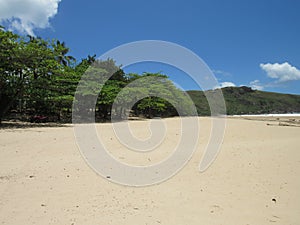 Bonete beach in Ilhabela, SP, Brazil. photo