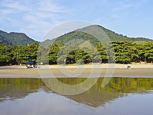 Bonete on Ilhabela Island, Brazil