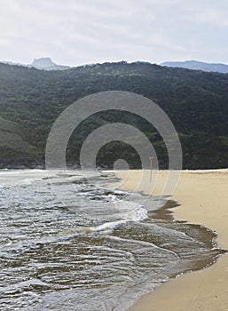 Bonete on Ilhabela Island, Brazil photo