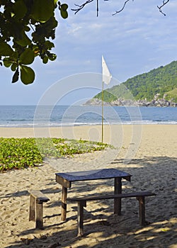 Bonete on Ilhabela Island, Brazil photo