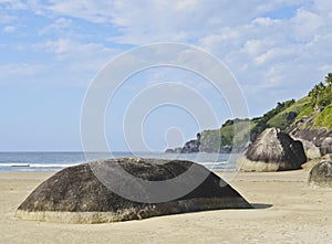 Bonete on Ilhabela Island, Brazil photo