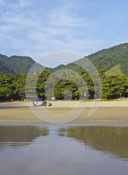 Bonete on Ilhabela Island, Brazil photo