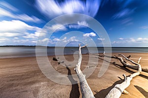 BONEYARD BEACH JACKSONVILLE, FL