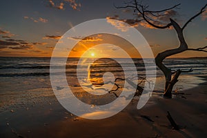 BONEYARD BEACH JACKSONVILLE, FL