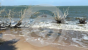 Boneyard Beach near Amelia Island, Florida USA on a bright sunny day