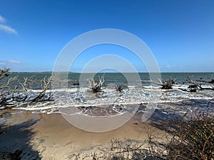 Boneyard Beach near Amelia Island, Florida USA on a bright sunny day