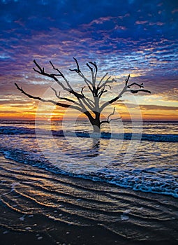 Botany Bay Plantation in Editso Island South Carolina near Charleston SC photo