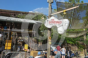 Boneyard, Disney WOrld, Animal Kingdom, Travel
