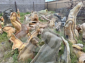 Boneyard of molds or forms of wild animals is seen outside on the grass in a fenced yard.