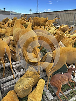 A boneyard of wild animal molds and forms resting on platform outside.