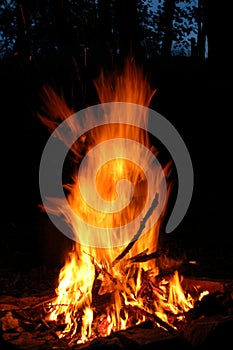 Bonfire 1