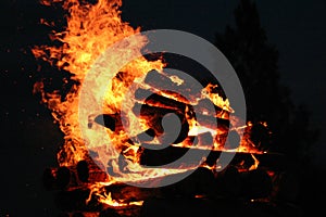 Bonfire photo