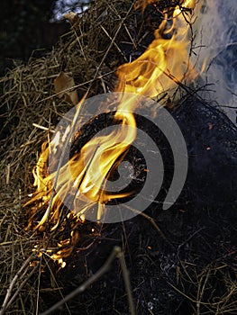 Bonfire and balefire. Village life. Abandoned places. Forgotten people. natural living.