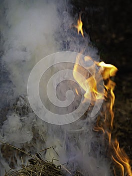 Bonfire and balefire. Village life. Abandoned places. Forgotten people. natural living.