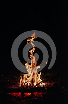 Bonfire, beautiful fire, Camping photo