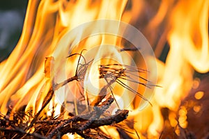 Bonfire, Burning branches, macor fire and smoke, close-up