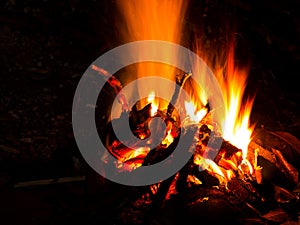 Bonfire burning firewood in fire from night camp in the forest. Flame from bonfire making warm in winter.