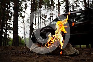 Bonfire with burning firewood near car in forest