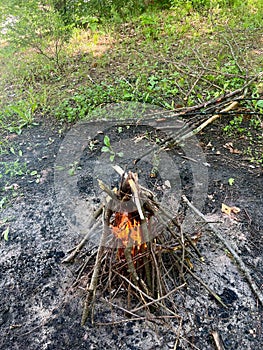 Bonfire burning flame in the forest