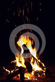 Bonfire burning at the night photo