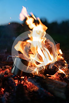 Bonfire burning trees at night. Large orange flame isolated on a black background. rose