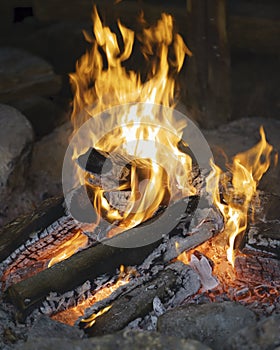 Bonfire in a campfire with bright fire burning on the beach at sunset