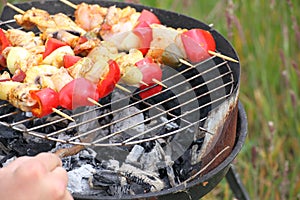 Bonfire campfire fire Flames grilling steak on the BBQ