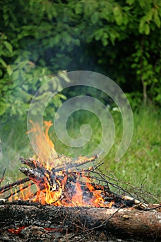 Bonfire campfire fire summer forest