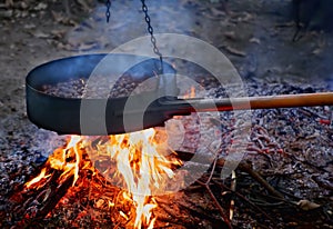 Bonfire and chestnuts