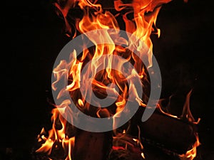 Bonfire fire heat hot flame burn incandescent wood fireplace ash photo