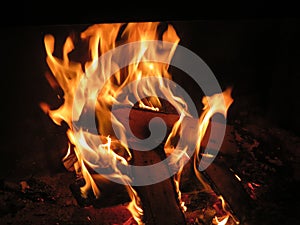 bonfire fire heat hot flame burn incandescent wood fireplace ash photo