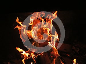 bonfire fire heat hot flame burn incandescent wood fireplace ash photo