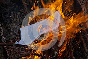 Bonfire. The flame of fire burns sheets of paper, books or documents. Elimination of evidence