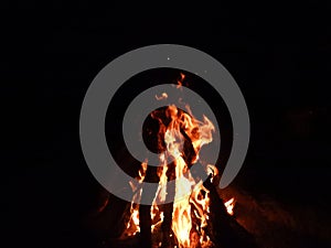 bonfire flames - flaming bonfire in the dark. large orange flame isolated on a black background. fire on black.