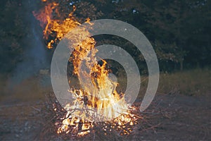 Bonfire flames in the woods before waiting for the night