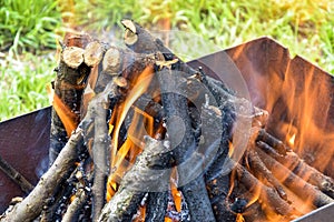 Bonfire made of branches of fruit trees. Flame flutters in wind. Green grass shines through the flames.