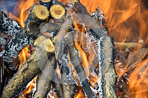 Bonfire made of branches of fruit trees. Flame flutters in wind. Process of preparing coals for barbecue. Close-up.