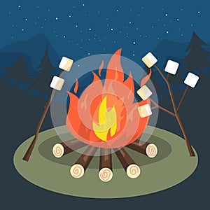 Bonfire,marshmallow grill,camping,travel