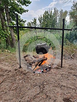 Bonfire,  nature, fame