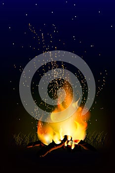 Bonfire in the night forest