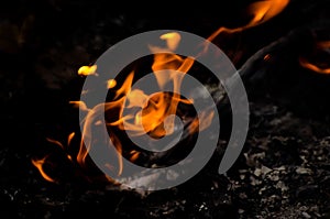 Bonfire with orange flames dark night in a under a blurred background, Flame, heat fire abstract background black background