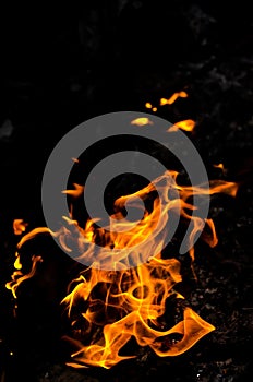 Bonfire with orange flames dark night in a under a blurred background, Flame, heat fire abstract background black background