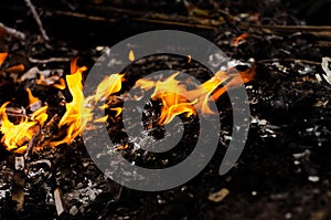 Bonfire with orange flames dark night in a under a blurred background, Flame, heat fire abstract background black background,