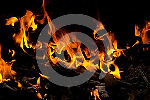 Bonfire with orange flames dark night in a under a blurred background, Flame, heat fire abstract background black background