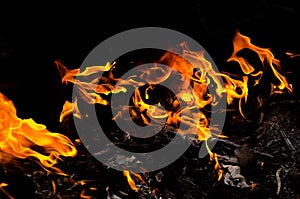 Bonfire with orange flames dark night in a under a blurred background, Flame, heat fire abstract background black background